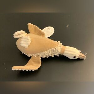 Natural Mallard Duck